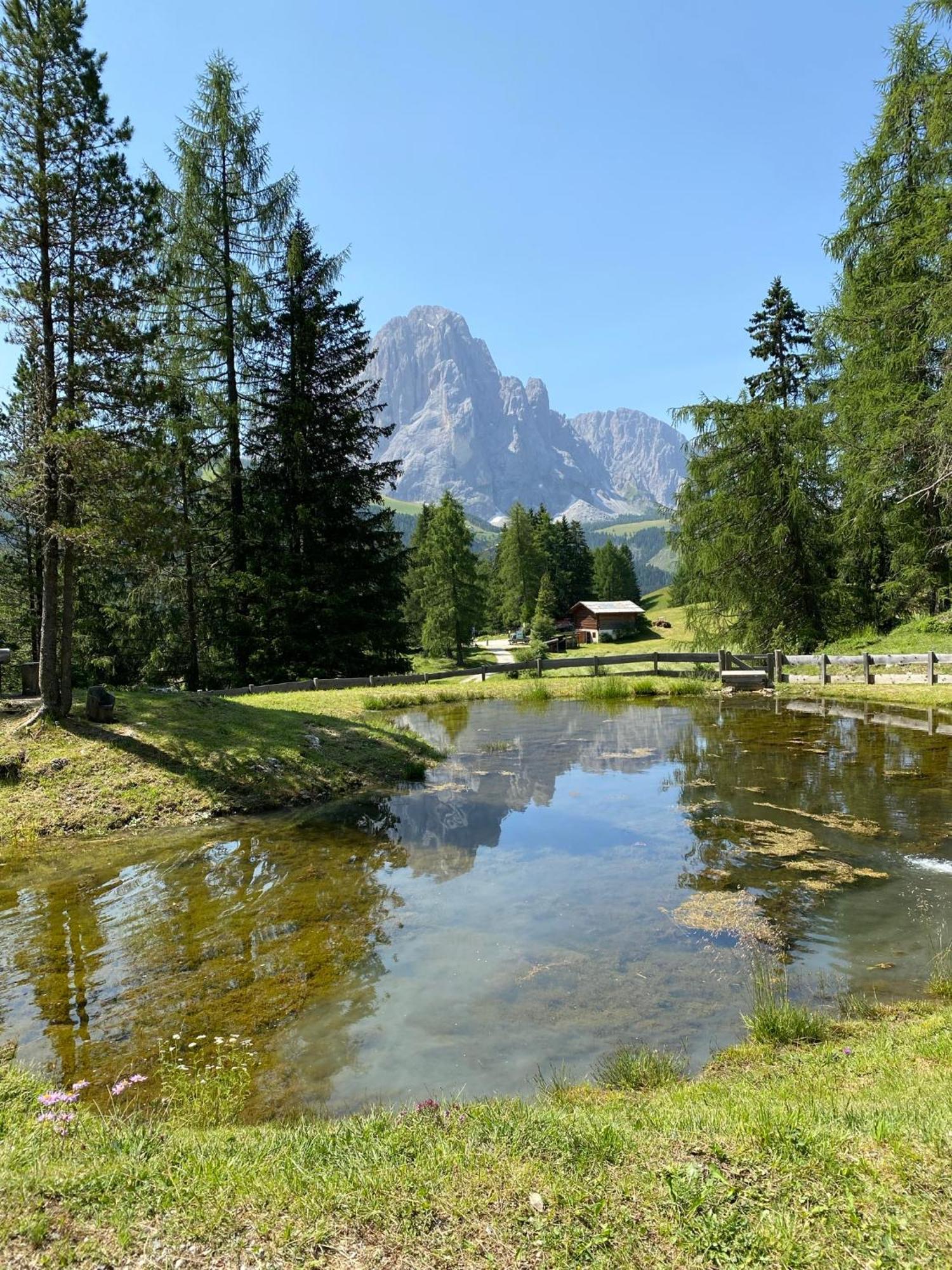 Apartment Nido Selva di Val Gardena Exterior photo